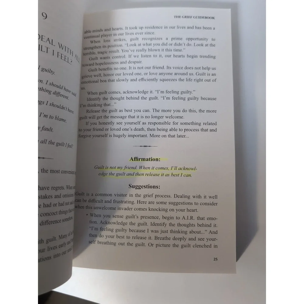 The Grief Guidebook: Common Questions, Compassionate Answers, Practical S - GOOD